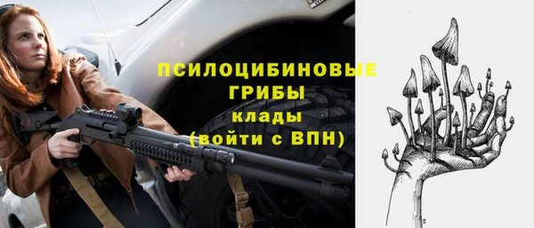 прущий лед Арсеньев