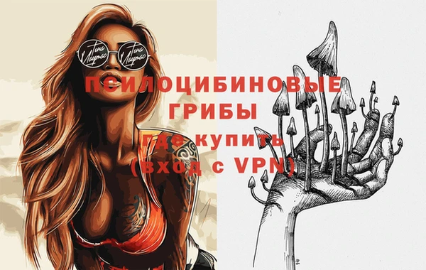 прущий лед Арсеньев