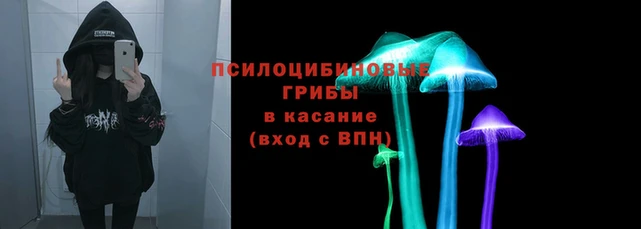 СК Армянск