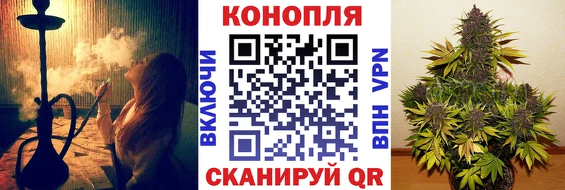 Каннабис VHQ Новосокольники